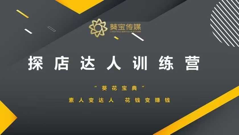 探店达人训练营，素人变达人，花钱变赚钱-Ai创业网