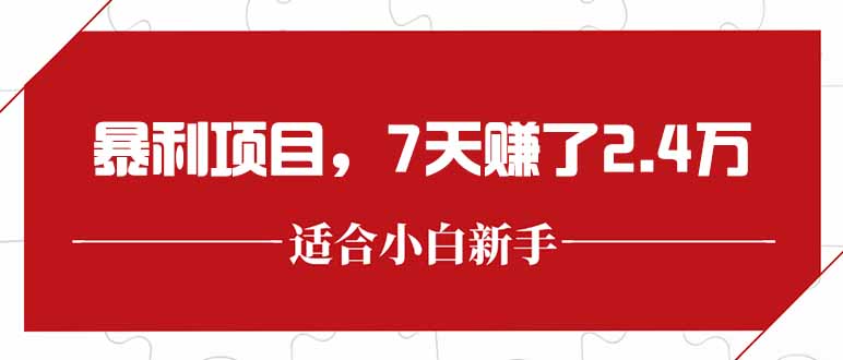 最新暴利项目，每单收益轻松在300以上，7天赚了2.4万-Ai创业网