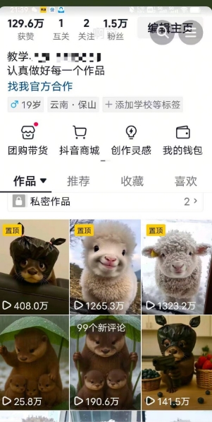 抖音65W博主AI萌宠课程，新赛道流量大，原创+二创，全套课程+提示词-Ai创业网