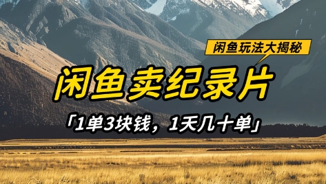 闲鱼卖纪录片1单3块钱，1天几十单，项目稳定有潜力-Ai创业网