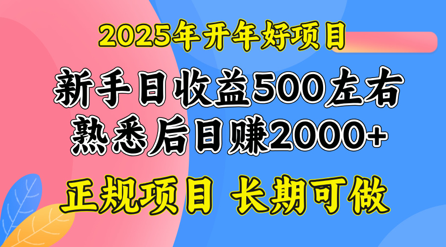 2025开年好项目，单号日收益2000左右-Ai创业网