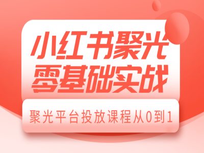 小红书聚光零基础实战，聚光平台投放课程从0到1-Ai创业网