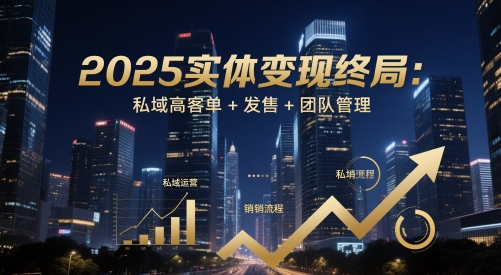 2025实体变现终局：私域高客单+发售+团队管理-Ai创业网