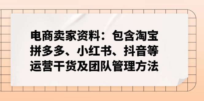 电商卖家资料：包含淘宝、拼多多、小红书、抖音等运营干货及团队管理方法-Ai创业网