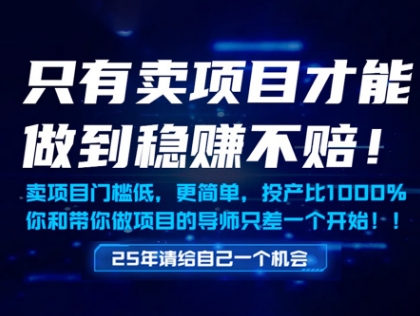 只有卖项目才能做到稳挣不赔，门槛低，更简单，你也可以年入百个W【揭秘】-Ai创业网
