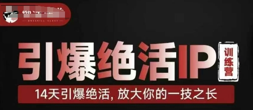 引爆绝活IP训练营，14天引爆绝活，放大你的一技之长-Ai创业网