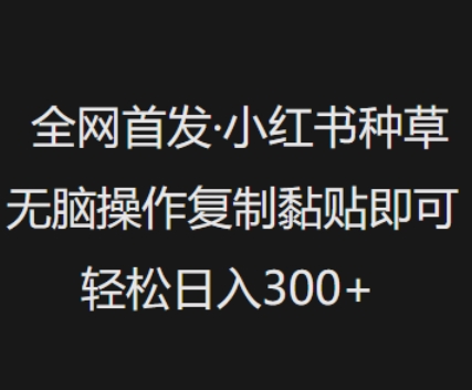 全网首发，小红书种草无脑操作，复制黏贴即可，轻松日入3张-Ai创业网