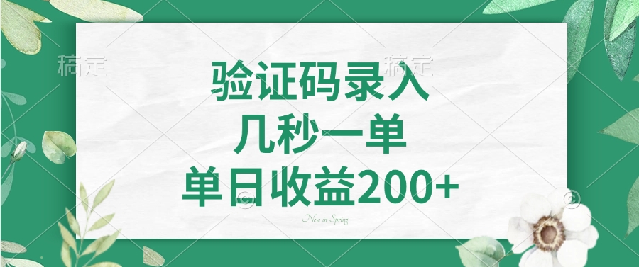 验证码录入，几秒一单，单日收益200+-Ai创业网