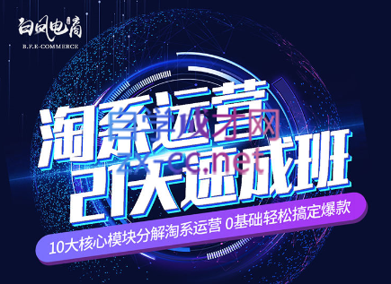 淘系运营21天速成班(更新7月)-Ai创业网