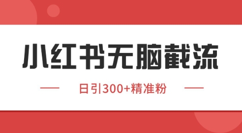 小红书截流同行客源，独家野路子获客玩法 日引200+暴力获客【揭秘】-Ai创业网