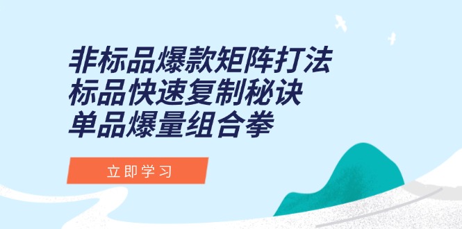 非标品爆款矩阵打法，标品快速复制秘诀，单品爆量组合拳-Ai创业网