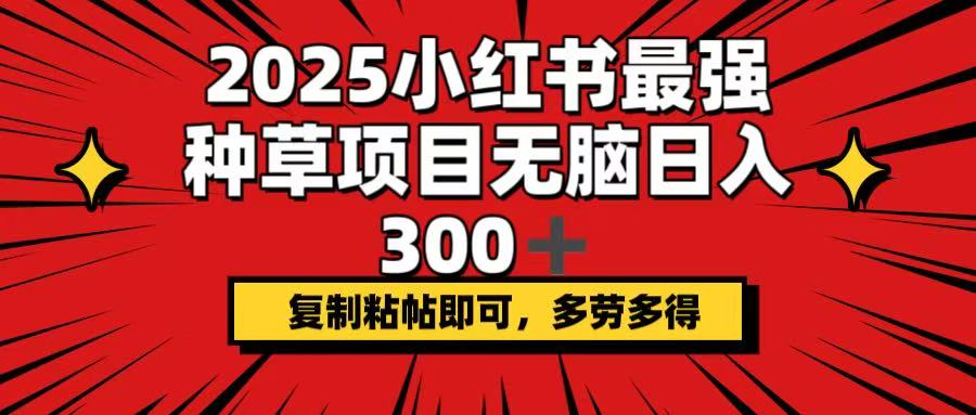 2025小红书最强种草项目，无脑日入300+，复制粘帖即可，多劳多得-Ai创业网