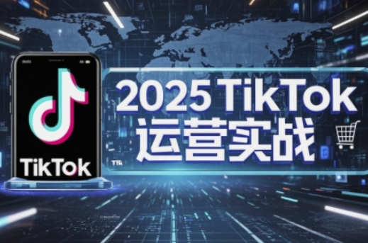 2025TikTok电商运营，掌握TikTok店铺运营核心技巧，实现低成本高转化-Ai创业网