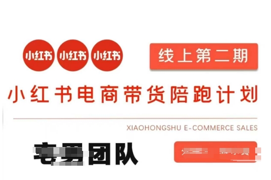 小红书电商带货课2期，月利润20个的小红书电商的有货源，无货源，虚拟产品，付费投流等整套玩法-Ai创业网