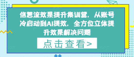 信息流效果提升集训营，从账号冷启动到AI提效，全方位立体提升效果解决问题-Ai创业网