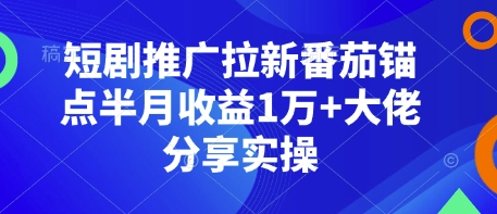 短剧推广拉新番茄锚点半月收益1万+大佬分享实操-Ai创业网