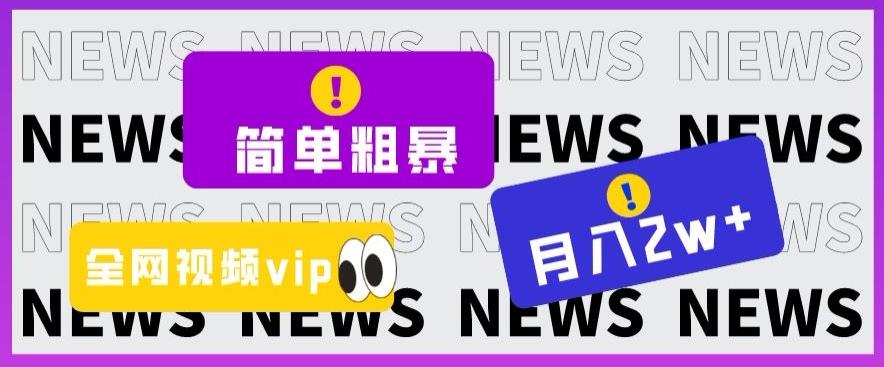 简单粗暴零成本，高回报，全网视频VIP掘金项目，月入2万＋【揭秘】-Ai创业网