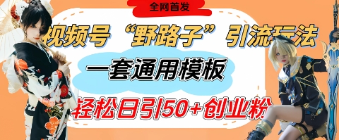视频号“野路子”玩法，评论区疯狂截流，一套模板单日单号引流50+创业粉-Ai创业网