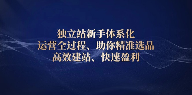 独立站新手体系化 运营全过程，助你精准选品、高效建站、快速盈利-Ai创业网