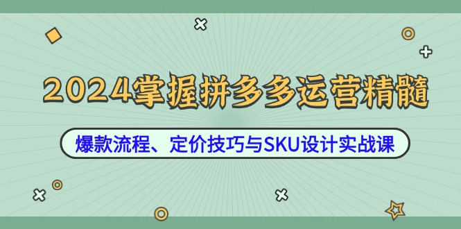 2024掌握拼多多运营精髓：爆款流程、定价技巧与SKU设计实战课-Ai创业网