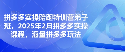 拼多多实操陪跑特训营弟子班，2025年2月拼多多实操课程，海量拼多多玩法-Ai创业网