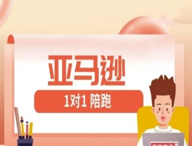 亚马逊1对1陪跑课(FBA/FBM精铺)跨境亚马逊教程-Ai创业网