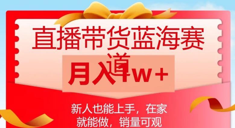 直播带货蓝海赛道，新人也能上手，在家就能做，销量可观，月入1w【揭秘】-Ai创业网