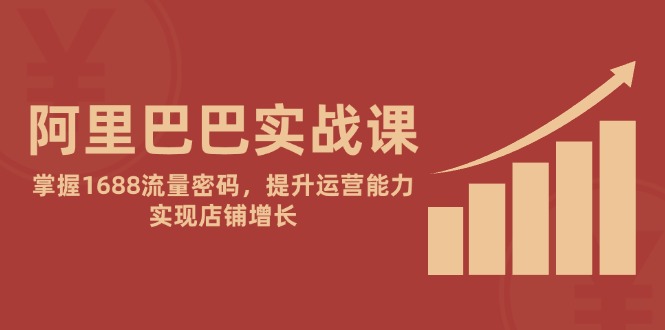 阿里巴巴实战课：掌握1688流量密码，提升运营能力，实现店铺增长-Ai创业网