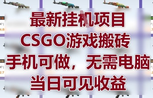 最新挂G项目，CSGO游戏搬砖，手机可做，无需电脑，当日见收益【揭秘】-Ai创业网