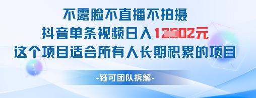 不露脸不直播不拍摄抖音单条视频日入1k+这个项目适合所有人长期积累的项目-Ai创业网