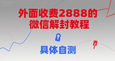 外面收费2888的微信解封教程，具体自测-Ai创业网