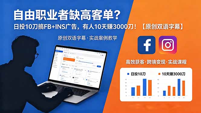 自由职业者缺高客单？日投 10 刀搞 FB+INS 广告，有人 10 天赚 3000 刀！【原创双语字幕】-Ai创业网