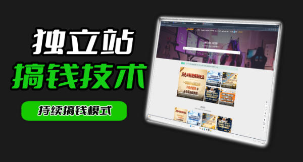干货来袭！麦子甜带你吃透独立站｜从搭建到引流一站式教学《独立站》第一期-Ai创业网