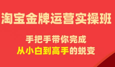 飓风电商·淘宝金牌运营实操班-Ai创业网