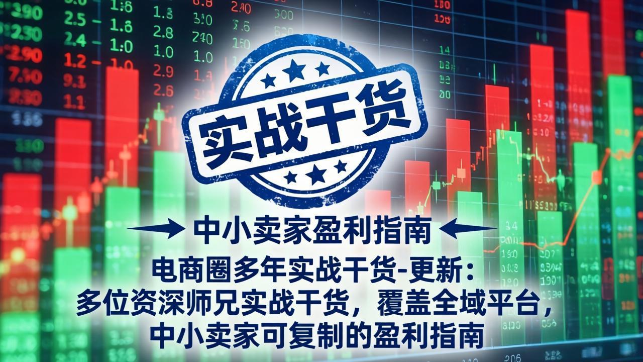 电商圈多年实战干货-更新5月20：多位资深师兄实战干货/覆盖全域平台，中小卖家可复制的盈利指南-Ai创业网