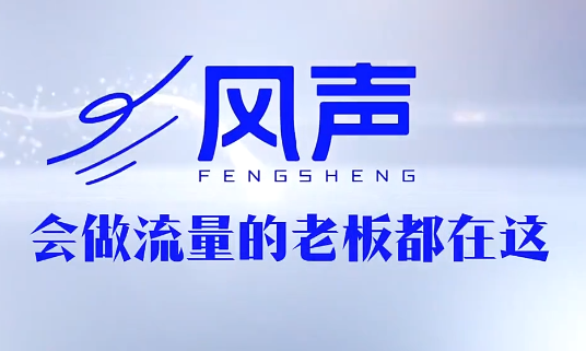 董十一·风声短视频AI获客年度会员-Ai创业网
