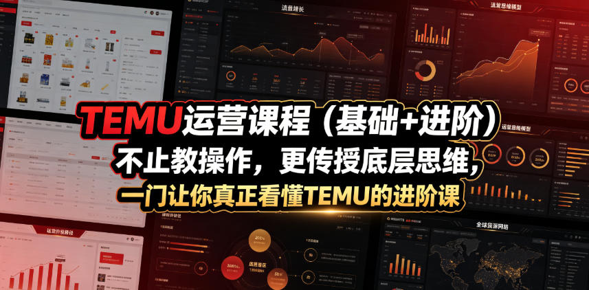 TEMU运营课程(基础+进阶)，不止教操作，更传授底层思维，一门让你真正看懂TEMU的进阶课-Ai创业网