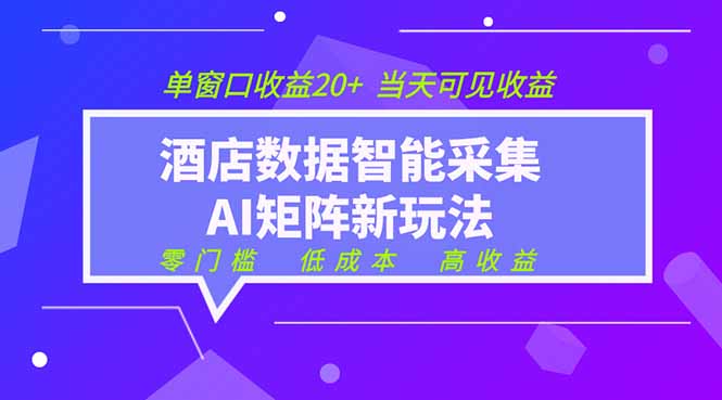 2026酒店数据采集ai智能矩阵新风口  低成本   高收益   当天见收益   单窗口20+-Ai创业网