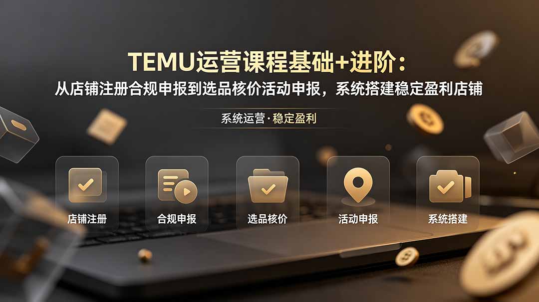 TEMU运营课程(基础+进阶-Ai创业网