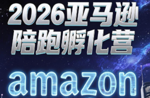 跨境米亚·亚马逊陪跑孵化营(第7期)-Ai创业网