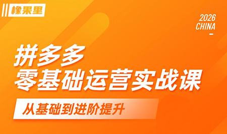 仙道电商·拼多多零基础运营实战课-Ai创业网