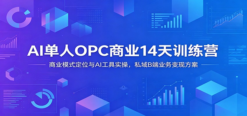 AI单人OPC商业14天训练营：商业模式定位与AI工具实操，私域B端业务变现方案-Ai创业网