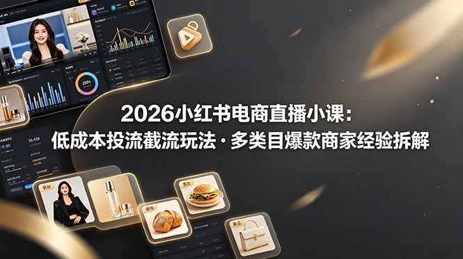 2026小红书电商直播小课，低成本投流截流玩法，多类目爆款商家经验完整拆解教学-Ai创业网