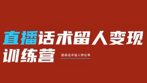 纹汐·直播话术留人变现训练营-Ai创业网