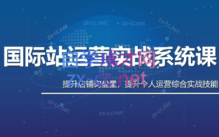 白老师·国际站运营实战系统(高质量询盘增长课)(更新)-Ai创业网