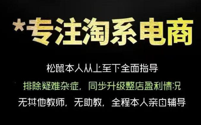 松鼠会电商VIP课程，从基础布局到高阶优化，助你掌握淘宝运营逻辑，提升店铺流量与转化(更新0711)-Ai创业网