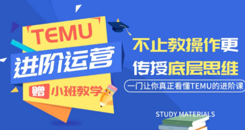 阿卡林·TEMU运营课程(基础+进阶)-Ai创业网