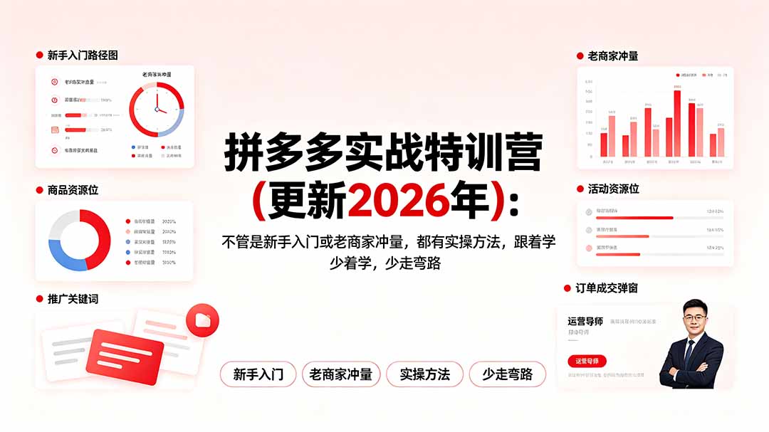 拼多多实战特训营(更新2026年-Ai创业网