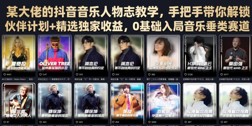某大佬的抖音音乐人物志教学，手把手带你解锁伙伴计划+精选独家收益，0基础入局音乐垂类赛道-Ai创业网