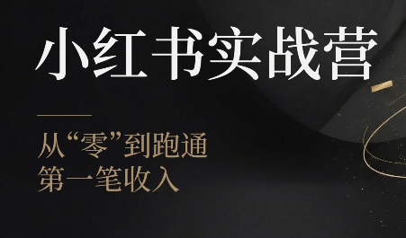 金金老师·小红书实战营-Ai创业网